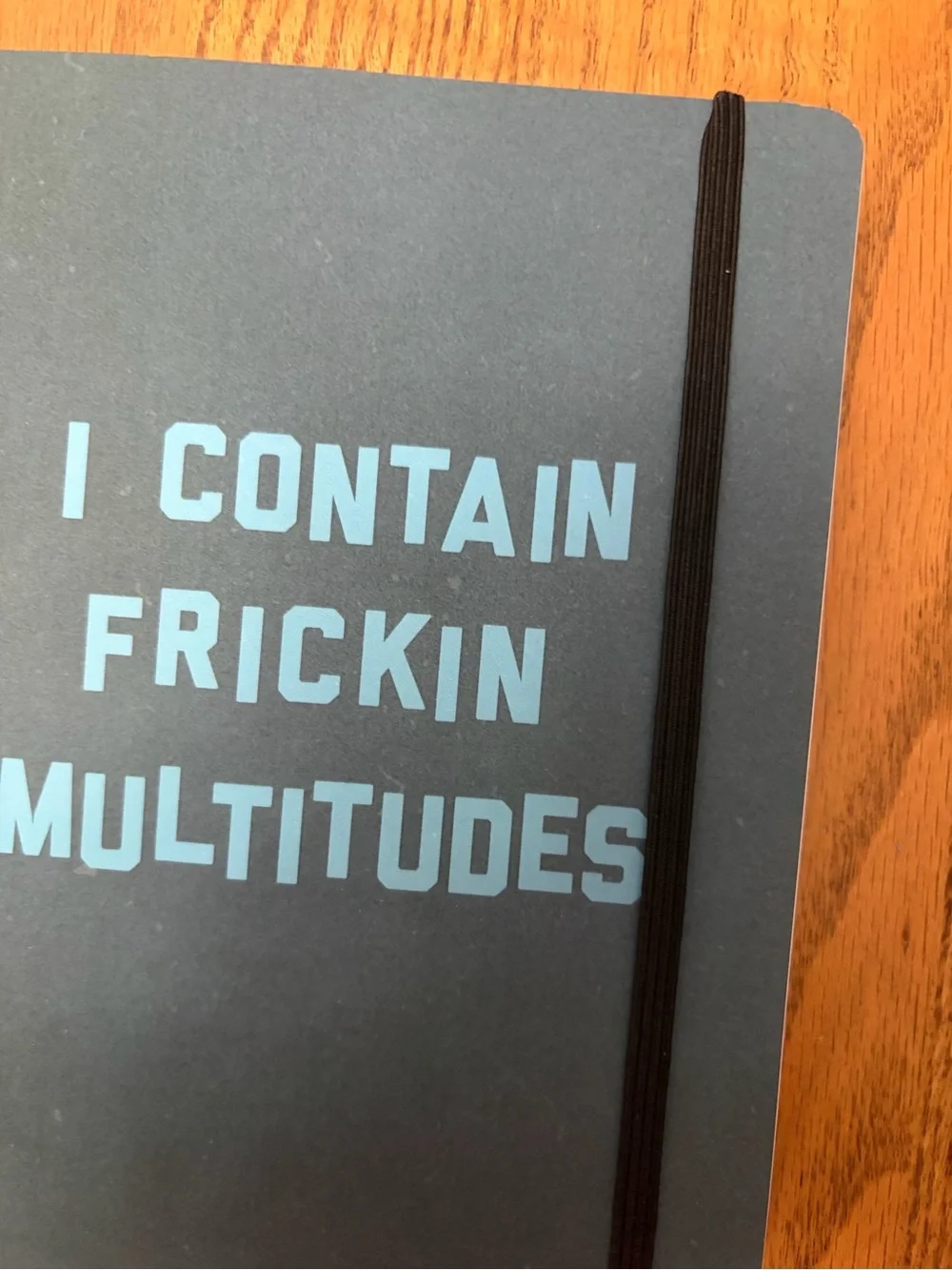 John Proctor is the Villain Notebook